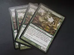Everbark Shaman x4 MTG Morningtide Green Common Creature LP - Image 1