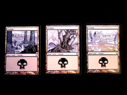 MTG ARCHENEMY COLLECTOR SET - NM / LP - BASIC LANDS 1X EACH ART - ARCCS - Image 4