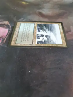 Polluted Delta Mtg Onslaught - Image 5