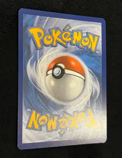 Special Illustration Rare SQUAWKABILLY EX Pokemon Card Paldea Evolved #264 NM - Image 5