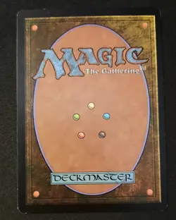 MTG FOIL ITALIAN Boreal Shelf - Coldsnap Magic the Gathering Card # 144 HP - Image 2