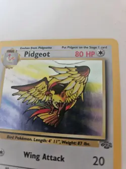 Pidgeot 8/64 Jungle 1st Edition Holo Rare Pokemon Card Heavy Played Condition - Image 4