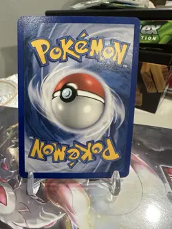 Pokemon TCG Totodile Neo Genesis 80/111 Unlimited Common Card NM Near Mint Wotc - Image 4