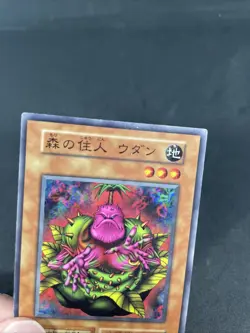 yugioh Wodan the Resident of the Forest booster3 normal japnese - Image 3