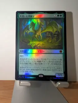 Old Gnawbone - MTG - Japanese - FOIL - Adventures in the Forgotten Realms - NM - Image 2