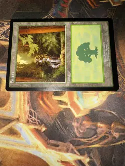 MTG Forest - 1999 Euro Land Promo (Schwarzwald) - Scott Bailey Art - NM - - Image 2