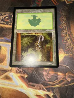 MTG Forest - 1999 Euro Land Promo (Schwarzwald) - Scott Bailey Art - NM - - Image 3