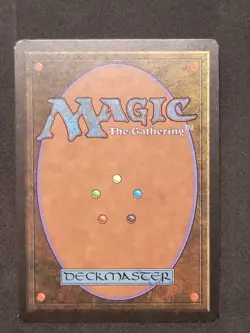 Feedback Limited Edition - Beta Edition Regular - Image 2