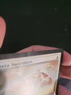Serra Ascendant Core Set 2011 (M11) Regular (DAMAGED) - Image 2