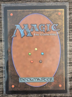 MTG: Savai Triome (Ikoria: Lair of Behemoths)(RARE) - Image 2
