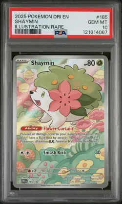PSA 10 GEM 2025 POKEMON DRI-EN DESTINED RIVALS #185 SHAYMIN ILLUSTRATION RARE - Image 1