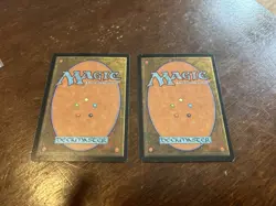 2x Argothian Elder ~ Urza's Saga ~ NM ~ MTG Magic - Image 2