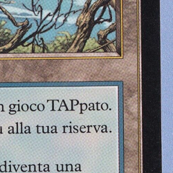 Faerie Conclave MTG MISPRINT Italian. Missing Expansion symbol - Image 2