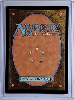 2023 MTG Magic the Gathering LOTR Borderless Foil #492 Aragorn, Hornburg Hero - Image 2