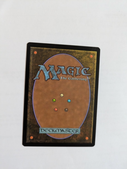 Stomping Ground Gatecrash MTG NM Free shipping with tracking - Image 2