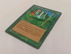 MTG Magic CONCORDANT CROSSROADS FBB Legends R Italian NM SITUAZIONI FAVOREVOLI - Image 4