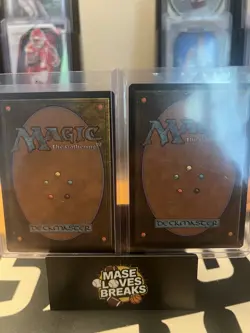 MTG - Seedborn Muse - Commander 2019 - Near Mint x2 - Image 2