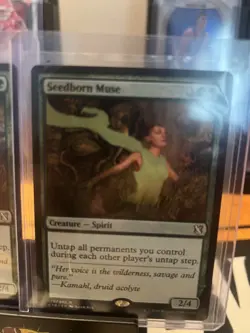 MTG - Seedborn Muse - Commander 2019 - Near Mint x2 - Image 4