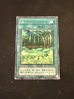 Yugioh Cards | Forest Rare | LB-45 Japanese NM in USA - Image 1