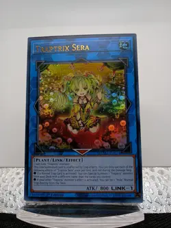 Yugioh! Traptrix Sera - MAMA-EN074 - Ultra Rare - 1st Edition Near Mint, English - Image 1