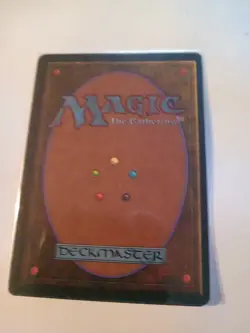 Mtg Revised Tundra Lp - Image 2