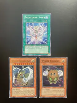 Yugioh Winged Kuriboh + LV10 + Transcendent Wings CRV-EN005 045 TLM-EN005 1st HP - Image 1