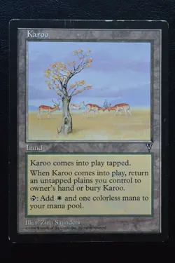 Magic The Gathering MTG KAROO Visions MP Moderately Played - Image 1