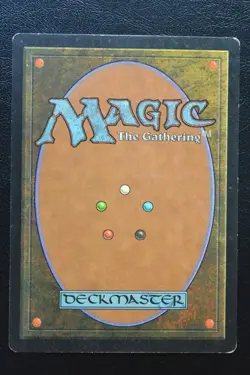 Magic The Gathering MTG KAROO Visions MP Moderately Played - Image 2