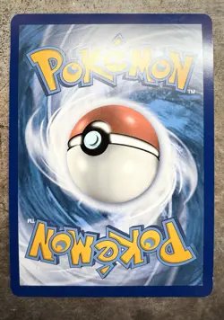 Pokemon TCG JUMBO card Dubwool V SWSH049 oversized Promo - Image 2