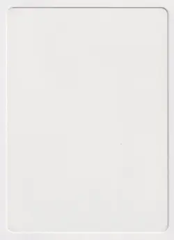 Signed Giant Turtle Proof LP Legends Artist Jeff A. Menges 1994 MTG Magic AP! - Image 2