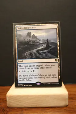 MTG Shipwreck Marsh | NM | Innistrad Remastered (INR) - Image 1