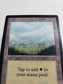 MTG Beta Plains Basic Land Set Magic The Gathering LP - Image 2