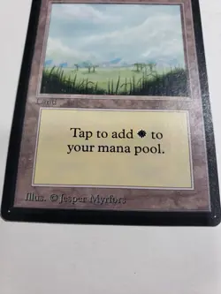 MTG Beta Plains Basic Land Set Magic The Gathering LP - Image 3