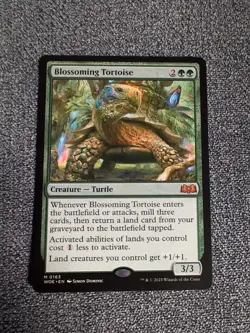 Blossoming Tortoise -regular - Image 1