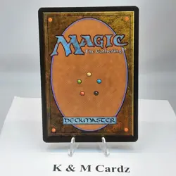 MTG - Alliances - Fyndhorn Druid - Common - LP - Playset x4 - Image 3