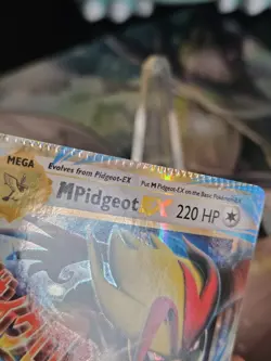 M Pidgeot EX - 65/108 - Ultra Rare Crimped Error card Pokemon TCG NM - Image 4