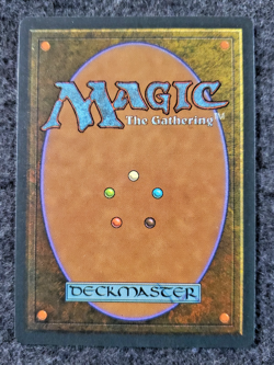 Wall of Brambles MTG - 3rd Edition - Revised - - Uncommon NM No play .(DS3D1K6) - Image 2