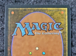 Wall of Brambles MTG - 3rd Edition - Revised - - Uncommon NM No play .(DS3D1K6) - Image 4