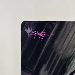 Signed Liliana of the Veil Playmat Artist Steve Argyle Hand Signed and Stamped - Image 2