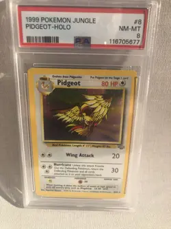 Pokemon PSA 8 WOTC 1999 Jungle Unlimited Pidgeot Holo 8/64 NM-MT - Image 1