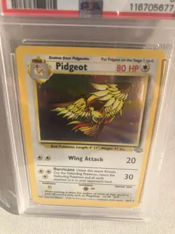 Pokemon PSA 8 WOTC 1999 Jungle Unlimited Pidgeot Holo 8/64 NM-MT - Image 2