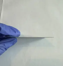 Anointed Procession Amonkhet Foil - Image 3