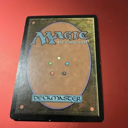 7X Hickory Woodlot - Mercadian Masques - MTG Magic the Gathering - Land Lot Of 7 - Image 4
