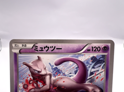 Pokemon Card Mewtwo 202/XY-P 176/XY-P Battle Festa Promo 2 Set Japanese - Image 3