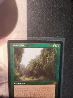 MTG Forest Wisdom Japanese Edition Foil Old Frame Collector Booster Used - Image 3