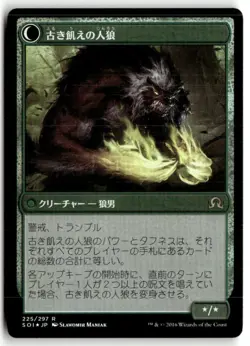 MTG Foil Sage of Ancient Lore Prerelease Cards - LP Japanese - Image 2