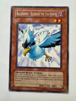 YUGIOH Blackwing Blizzard The Far North Rare 1st Edition RGBT-EN010 - Image 1