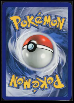 Pansear 21/114 Common Black and White Reverse Holo Pokemon Card - Image 2