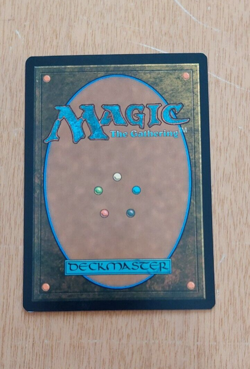 Eowyn, Shieldmaiden (86) Foil Magic the Gathering card - Image 3