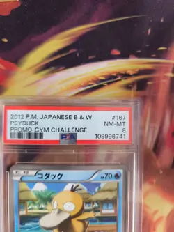Pokemon Card Enton Psyduck Gym Challenge BW Promo Black Star Japanese PSA 8 - Image 4